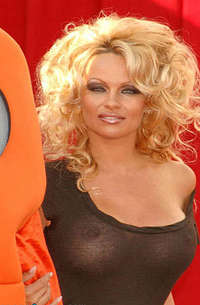 Stunning Pamela Anderson strikes again