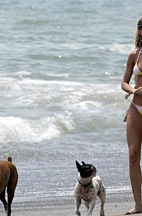 Gisele Bundchen Walking the dog at the beach