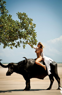 Andressa Ribiero Cowgirl Babe With Big Boobs Strips Naked